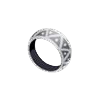 anneau moon image