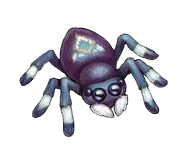 petit spider mort image
