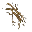 racine d'Abra image