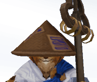 mage ninja  image