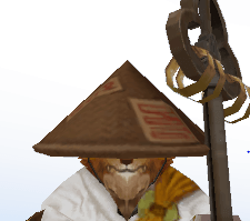 mage ninja image