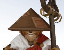 mage ninja image
