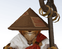 mage ninja  image